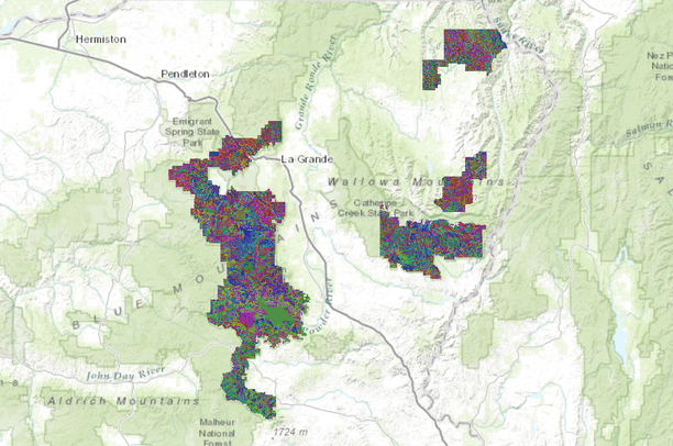 Soil Resource Inventory for the Wallowa-Whitman National Forest | Data ...