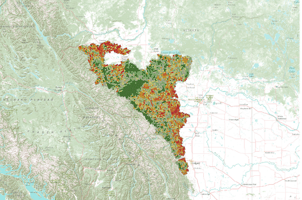 Alberta Treemap Mapping High Conservation Value and Endangered Forests in the Alberta ...
