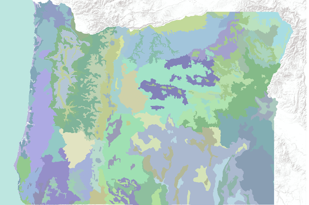 Oregon Biom Map Ecoregions of Oregon, USA | Data Basin