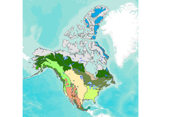 Commission for Environmental Cooperation (CEC) Ecological Regions of ...