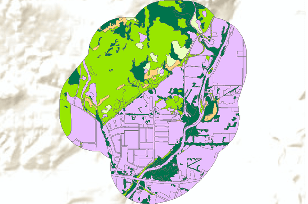 Vegetation and Land Cover of Aztec Ruins National Monument and ...