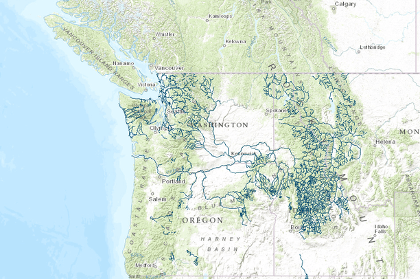 FWS Critical Habitat Bull Trout Data Basin fws-critical-habitat-bull-trout-data-basin