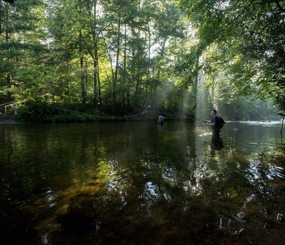 USFS North Carolina Mountain Region