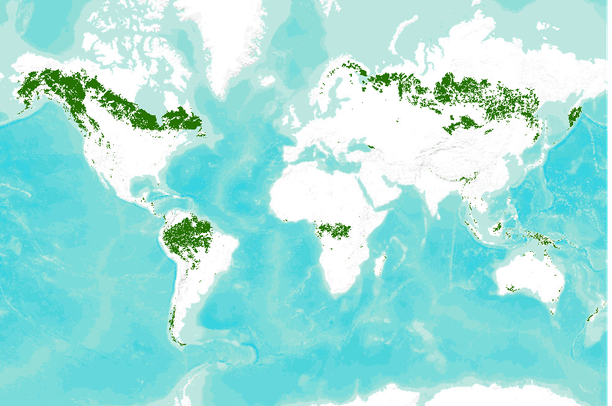 Forest Systems Map World Intact Forest Landscapes | Data Basin