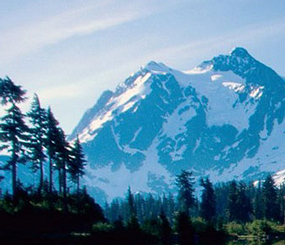 Cascadia Partner Forum