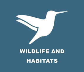 USFS North Carolina Wildlife and Habitats