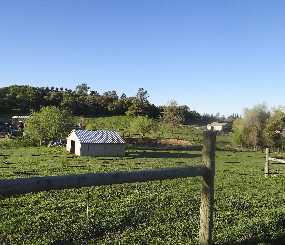 California Groundwater