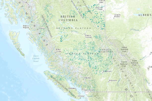 British Columbia Physical Map
