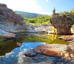 Riparian and aquatic ecosystems