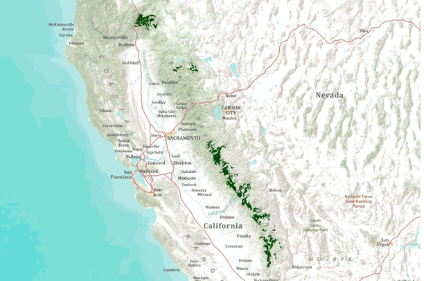 Projected Future Fisher Distributions in the Sierra Nevada