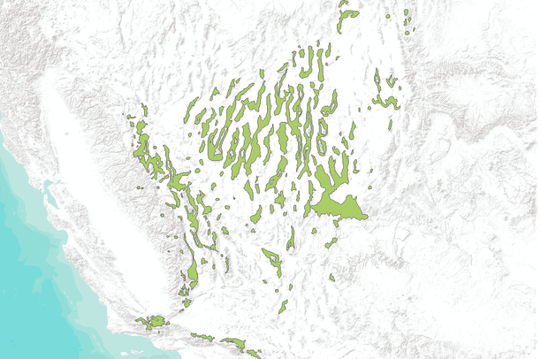 Pinones Map Range Map of Single-Needle Pinyon Pine (Pinus monophylla) | Data Basin