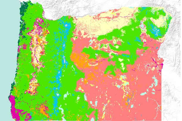 Oregon Treemap Oregon's Historic Vegetation (1938) - reclassified to functional type ...