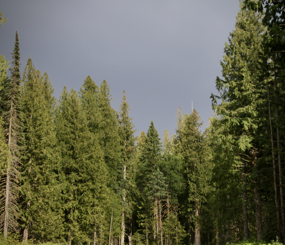 British Columbia Interior Wetbelt - Red-Listed Ecosystem Status