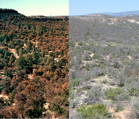 Southern Rockies LCC Soil Vulnerability Study