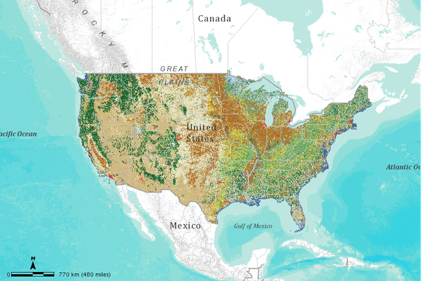 Contiguous Land Example Contiguous U.S. Land Cover Map, 2006 | Data Basin