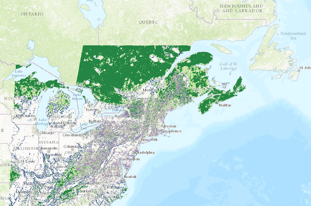 Connectivity Components | Northeast CPA