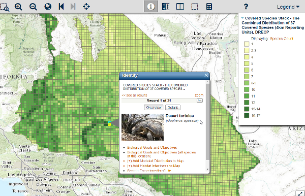 Species Stack Dataset- Covered and Other Species Thumbnail