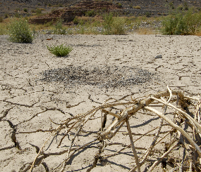 Precipitation change and drought