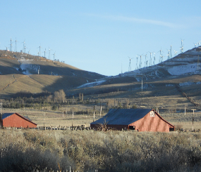 Tehachapi Conservation