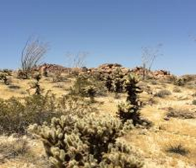 Eastern Mojave Desert LCD