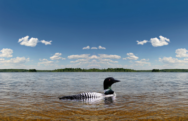 From the Mountains to the Sea: Applying the Yale Framework in Puget Sound Thumbnail