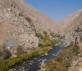 DRECP Climate Refugia