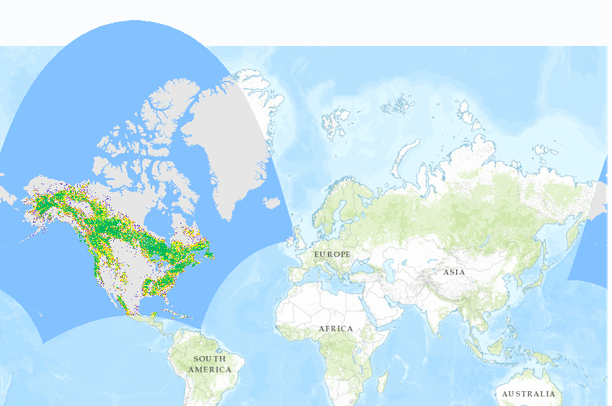 Forest Fragmentation and Intactness