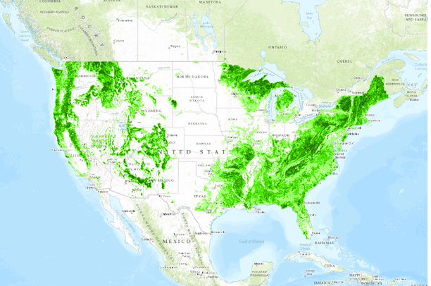 NLCD 2006 Forest Cover Combined Class (5km context, 1km resolution ...