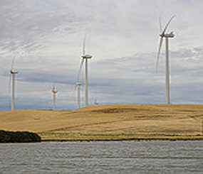 Ecological Service (ES) Offices and Other Fisheries/Wildlife Programs