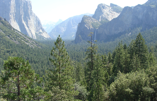 Yosemite National Park Thumbnail