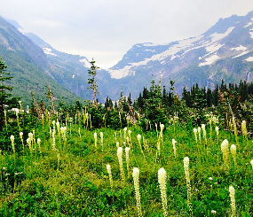 Ecological Connectivity in the West