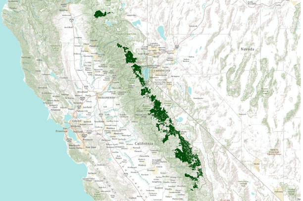 Sierra Nevada Red Fox Potential Habitat Cores Data Basin sierra-nevada-red-fox-potential-habitat-cores-data-basin
