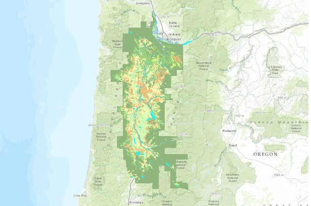 Willamette Valley Pre Settlement Vegetation 1850 | Data Basin