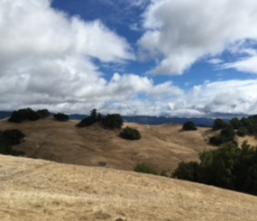 Mayacamas to Berryessa (M2B) Connectivity Network