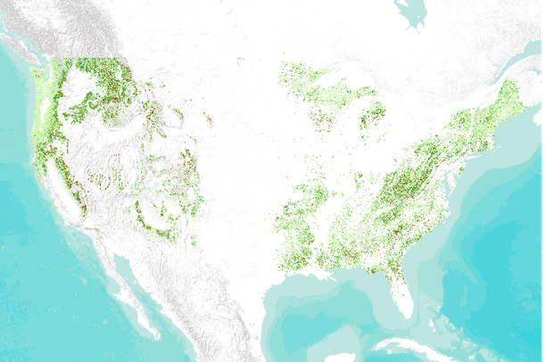 Modeled percent of basal area loss over the next 15 years due to ...