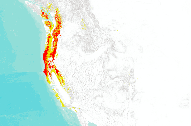 Willow viability score, 2030 (CGCM3 GCM, A2 emissions scenario) | Data ...