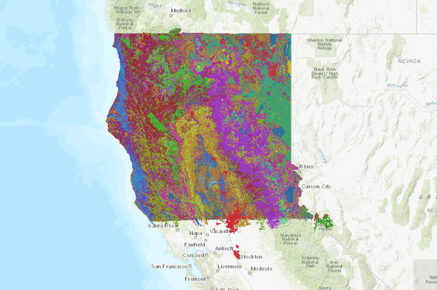 California - Wildlife Habitat Relationship Veg Type - FRAP, 2015 | Data ...