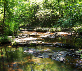 USFS North Carolina Piedmont Region