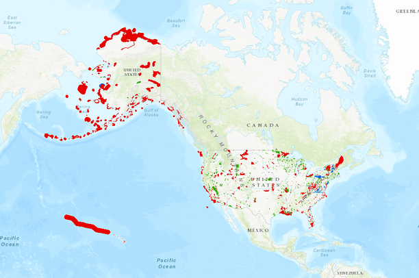 Important Bird Areas: Discover Global Avian Sanctuaries