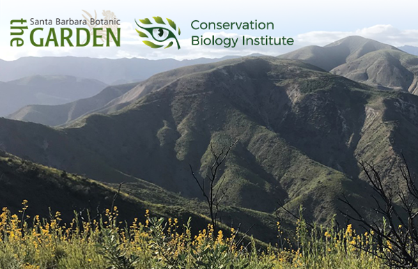 Fire Recovery & Community Science- Santa Barbara Botanic Garden & CBI Thumbnail