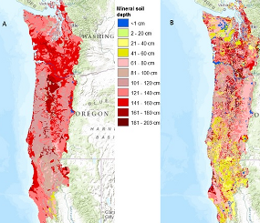 Testing the sensitivity of the MC2 DGVM to soil depth
