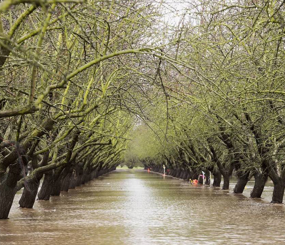 San Joaquin Valley Project Prioritization Tool