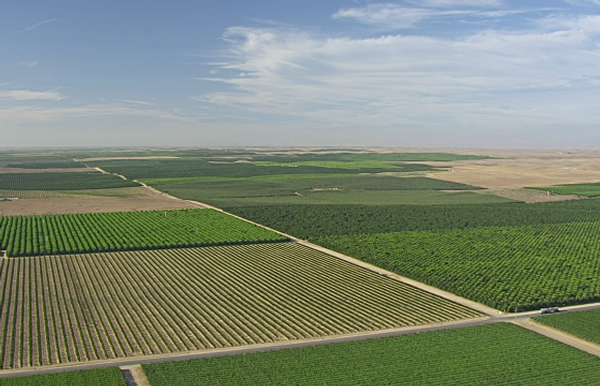 San Joaquin Land and Water Strategy Thumbnail