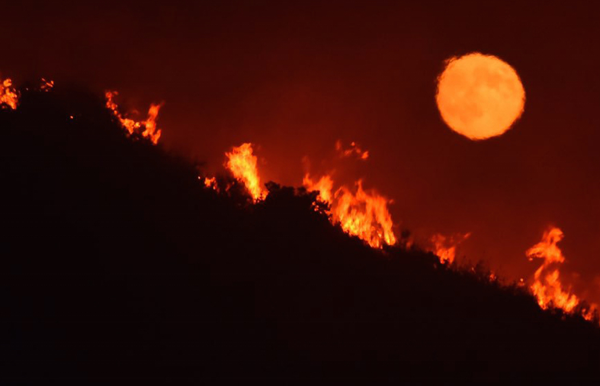 Fire Portal Thumbnail