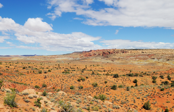 Climate Change Adaptation Strategies for BLM Resource Management in Southern Nevada Thumbnail