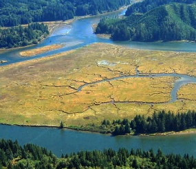 West Coast USA Estuary Data