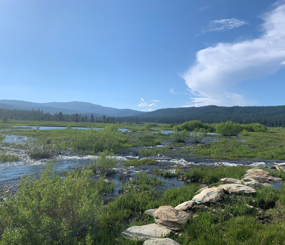 Sierra Meadow Prioritization Tool